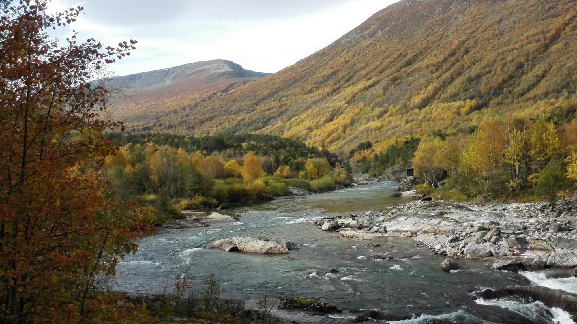 Driva Hytter Oppdal Esterno foto